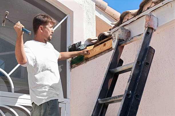 Handyman fixing termite damagebuilding and construction